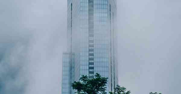 大数据判断数据变化趋势（大数据判断数据变化趋势分析）