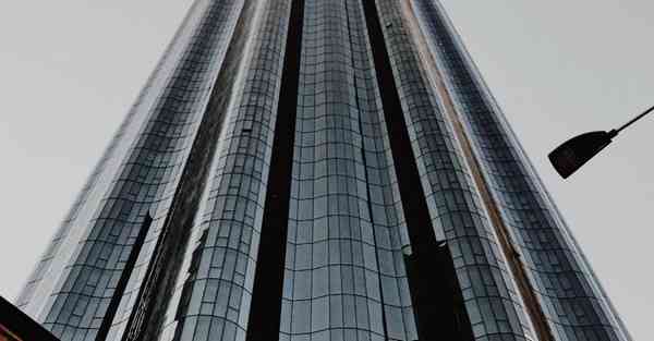 外国语单招大数据的行业文章