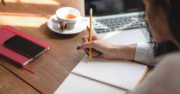 多功能便携式智能机器人