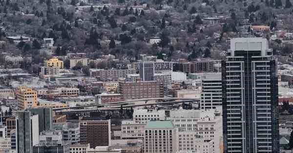 2022年人工智能机器人市场前景展望