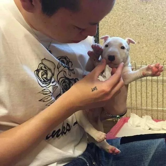 杨竹融翠