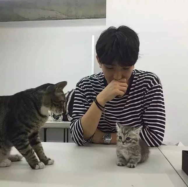 吉胜蕊宽